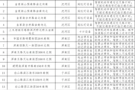 沈阳市新建120处“电子警察”图片