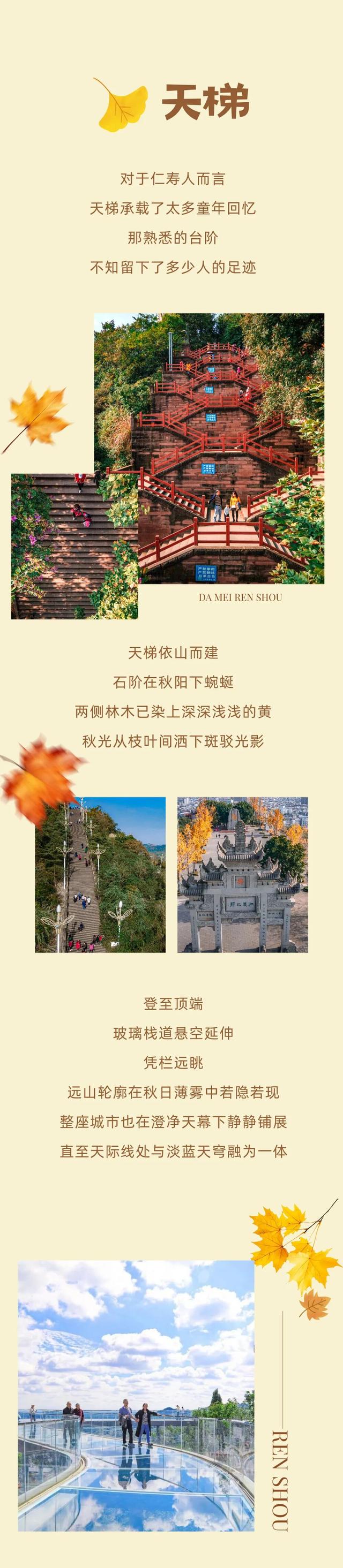 登高、访古、寻秋！重阳来仁寿，“老”有意思了！