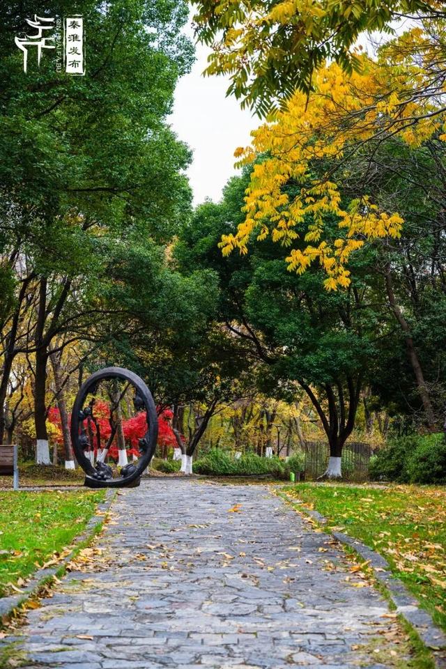 秦淮citywalk｜七桥瓮湿地公园