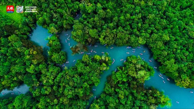 你有一份来自荔波万亩梅原的邀约 You Have an Invitation From the Plum Blossom Garden in Libo