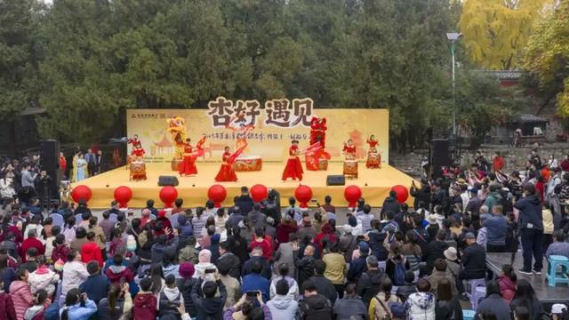 赵立坚微博打call日照银杏古树！附高清大图+进阶玩法！