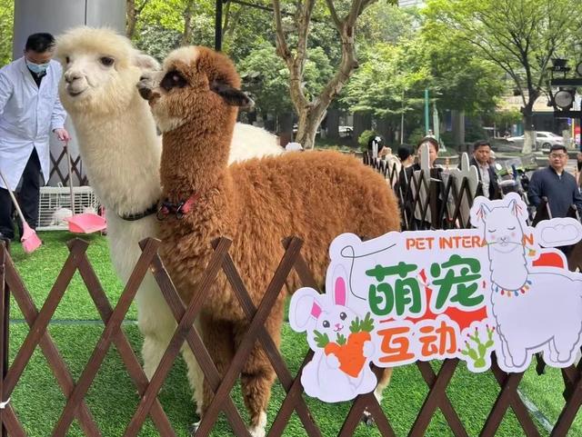 活动丨元旦去哪儿玩？百禧公园“有禧市”邀你解锁更多惊喜！