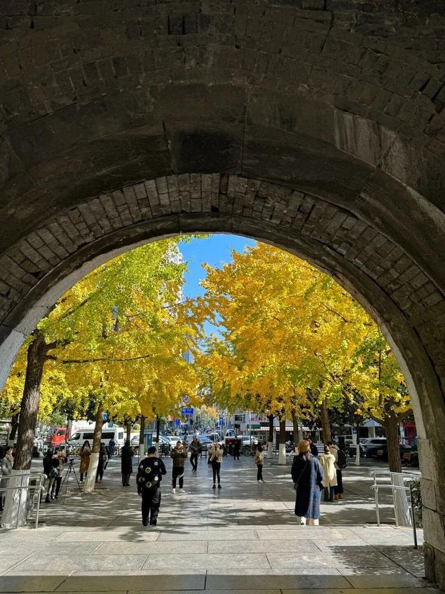 南京开始“下雪”了！