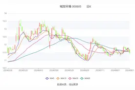 城发环境：2024年上半年净利润4.90亿元 同比下降17.44%图片