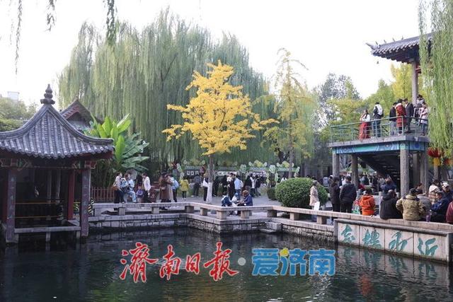 一年四季 泉在济南丨斑斓秋色映清泉！济南五龙潭深秋景致引客来
