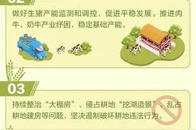 一图读懂2025年中央一号文件图片