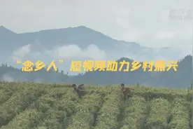“念乡人”短视频助力乡村振兴图片