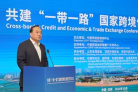 2024共建“一带一路”国家工商界代表山东行（日照）暨跨境信用经贸对接活动成功举办图片