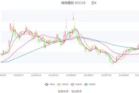 海南橡胶：2024年上半年亏损2.96亿元图片