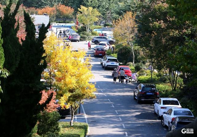 无需远行，来青岛这里尽享斑斓美景