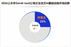 阿里云公布2024成绩单，AI和大模型能力突出图片