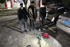 拿出抄网捕猎，两男子非法狩猎被抓图片