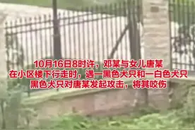 扩散！这33种犬种昆明禁养！图片