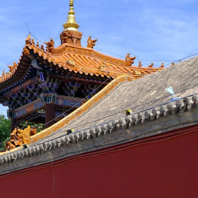 暑假去哪嗨？来呼和浩特解锁旅行新体验！