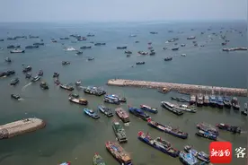 开渔啦！儋州千帆竞渡共寻“鲜”图片