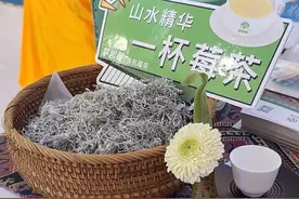 湘茶、非遗、智能制造…这些湖南好物为"消博会"上分图片
