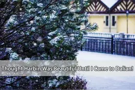 你好！中国 | 本以为哈尔滨够美了，直到来了大连！图片