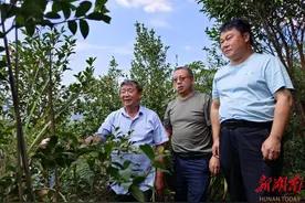 湖南石化职院驻村工作队：专家学者请进来，产业发展跑起来图片
