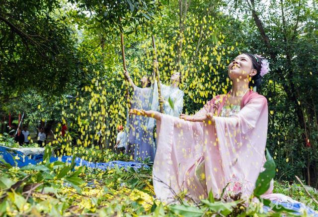 咸宁桂花盛放 全城浸在香甜里