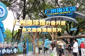 时隔六年，广州海洋馆升级开放！图片