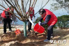 长沙城管局：不负好春光，为星城充“植”图片