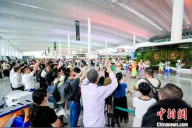 动物家族集体“空降” 广州白云机场上演快闪巡游图片