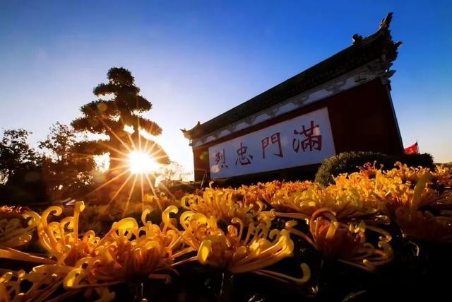 菊花文化节，来开封就得这么玩~