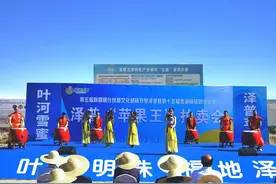 第五届新疆喀什丝路文化胡杨节暨泽普县第十五届金湖杨旅游文化季泽普“苹果王”拍卖会成功举办图片