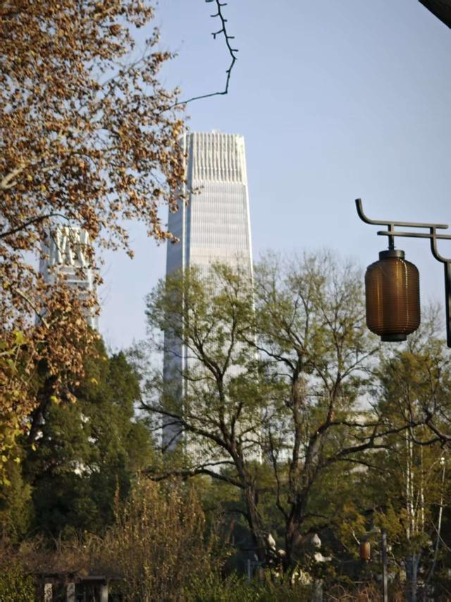 京城冬日迎暖阳，公园漫步享受闲适时光