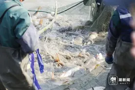 浙江高校最近流行集体“摸鱼”？真相是…图片