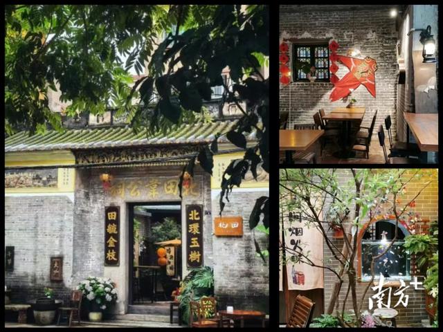 阅镇观｜乐从“祠堂+”，焕发人文经济新活力