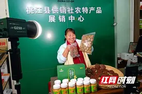 桃江：“蜜蜂姐姐” 的“新产业链”图片