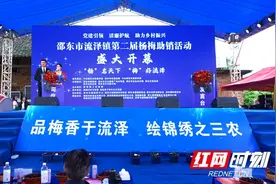 邵东市流泽镇第二届杨梅助销活动开幕图片
