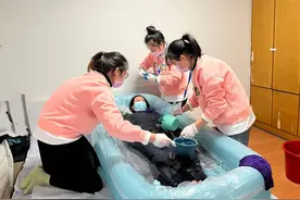 当看到8年半没洗澡的高位瘫痪者 她做助浴师的想法更坚定了｜新职人图片