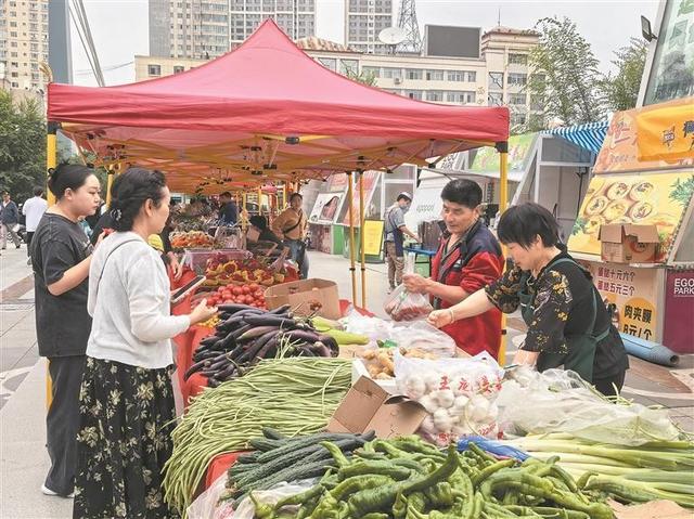 把脉古城“芯中芯”  激活区域新动能