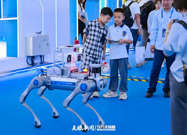 G视觉丨热度高涨！2025数博会：科技魅力吸引众人驻足