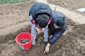 济宁市兖州区扬州路小学持续开展校园劳动实践活动图片