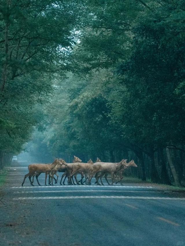 致 盐 城