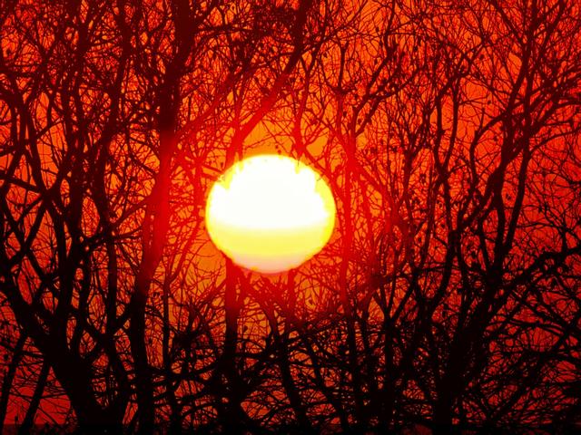 夕阳如画点缀京城！点击收藏腊八节里的冬日美景