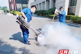 邵阳：深化爱国卫生运动 全面开展灭蚊灭蝇灭蟑螂行动图片