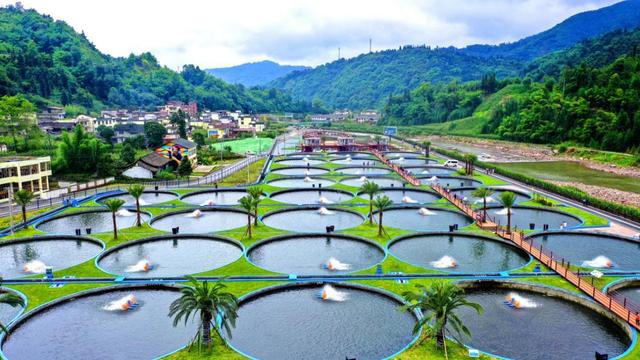 天府之肺·熊猫雅安：擘画世界级文旅目的地新蓝图