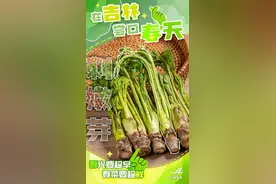春天，用这一口激发味蕾丨到吉林春日(尝尝尝) 咬下一口(嚼嚼嚼) 山野菜鲜图片