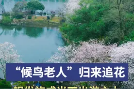 “候鸟老人”归来追花，银发族成当下出游主力图片