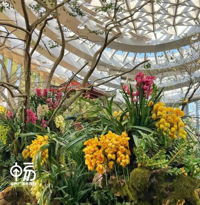 明确了!即将收费!福州一景区最新通知