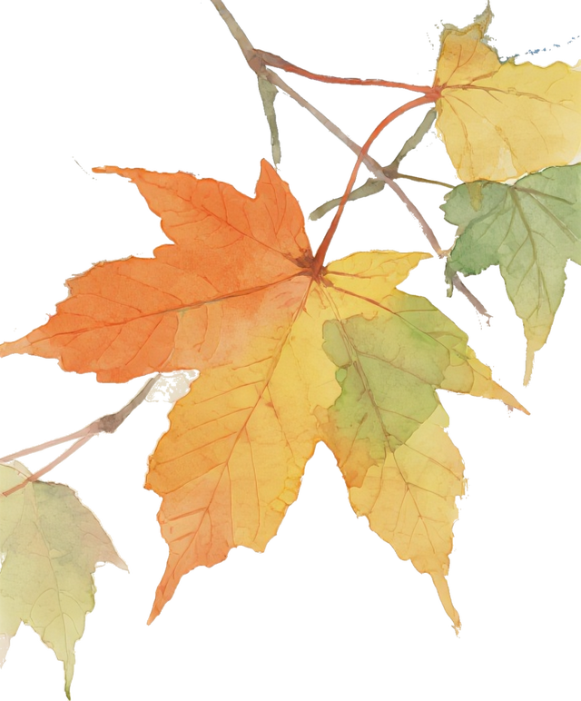 怎么能错过秦淮的秋天呢？