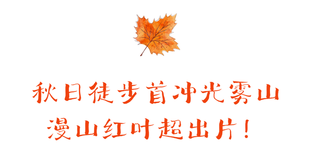 秋天旅行清单，光雾山必须有姓名！