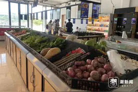 浙报头版关注：“漂洋过海买豆腐”已成往事 看舟山悬水小岛如何拎稳菜篮子图片