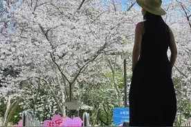 超出片！这里可能是申城“最美地铁口”图片