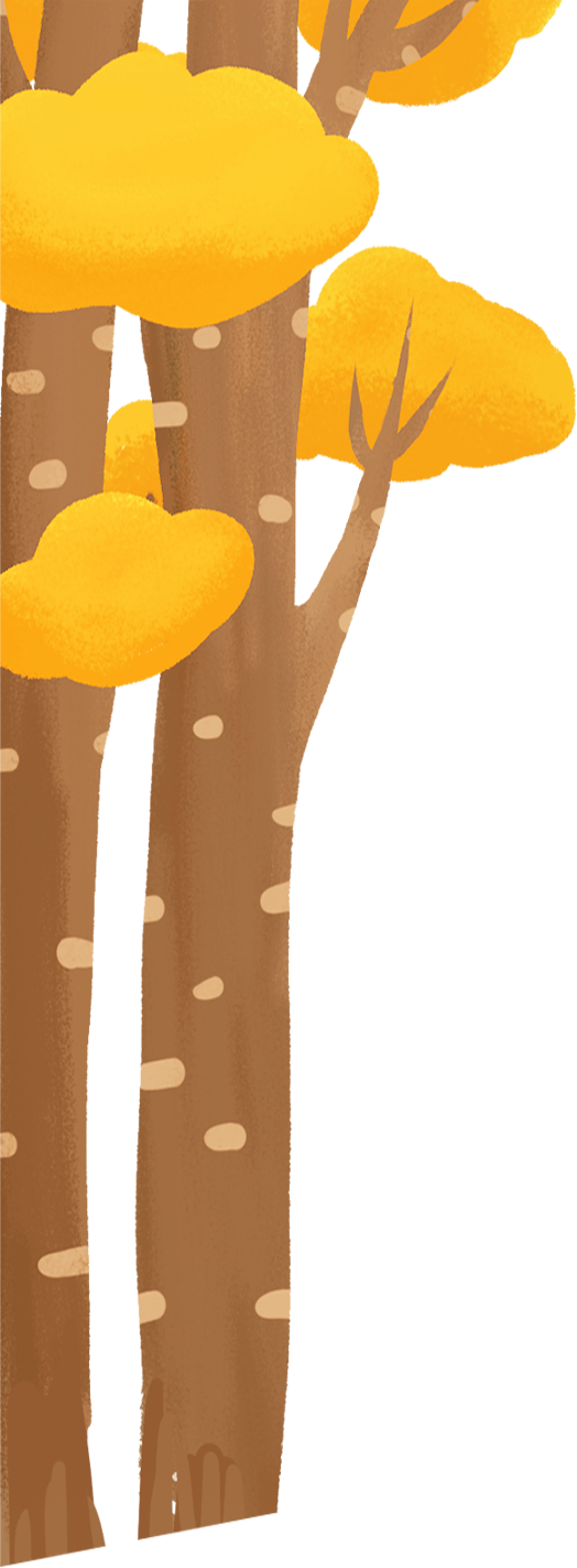 秋假去哪儿?来仪陇可以这样玩→