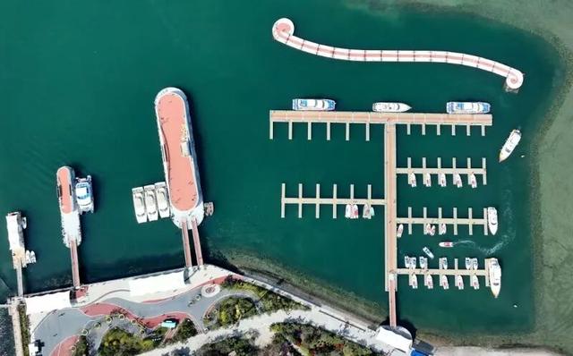 加“码”！青岛构筑海上新格局，实现胶州湾三岸全覆盖